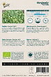 ARBORIX - Buzzy Organic Endive Bio Buzzy Numéro Cinq 2 - Bio Semences - Ca. 1 gr (Livraison Gratuite) - vignette