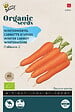 ARBORIX - Buzzy Organic Carotte d'Hiver Flakkée 2 - Bio Semences - Ca. 1,5 gram (Livraison Gratuite) - vignette