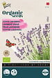 ARBORIX - Buzzy Organic Lavande Vraie - Bio Semences - Ca. 0,1 gr (Livraison Gratuite) - vignette