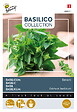 ARBORIX - Buzzy Basilic Bascuro Semences - Ca. 1,5 gr (Livraison Gratuite) - vignette