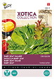 ARBORIX - Buzzy Xotica Mélange orientale Semences - Ca. 3 gr (Livraison Gratuite) - vignette