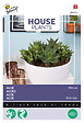 ARBORIX - Buzzy House Plants Aloès Mélange Semences - Ca. 5 graines (Livraison Gratuite) - vignette