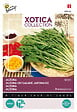 ARBORIX - Buzzy Xotica Mizuna Chou salade japonaise Semences - Ca. 10 gr (Livraison Gratuite) - vignette
