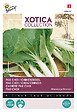 ARBORIX - Buzzy Xotica Chou chinois Pak Choi Semences - Ca. 2 gr (Livraison Gratuite) - vignette