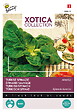 ARBORIX - Buzzy Xotica Epinard sauvage Semences - Ca. 20 gr (Livraison Gratuite) - vignette