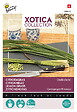 ARBORIX - Buzzy Xotica Herbe citronnée Semences - Ca. 0,2 gr (Livraison Gratuite) - vignette
