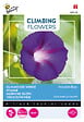 ARBORIX - Buzzy Climbing Flowers Ipomoea Knowlians Noire Semences - Ca. 2 gr (Livraison Gratuite) - vignette
