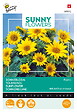 ARBORIX - Buzzy Sunny Flowers Tournesol Pacino Gold Semences - Ca. 0,75 gr (Livraison Gratuite) - vignette