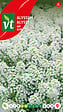 ARBORIX - Alysse Tapis De Neige - Ca. 0,5 gr (Livraison Gratuite) - vignette