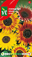 ARBORIX - Tournesol Distino - Ca. 1 gr (Livraison Gratuite) - vignette