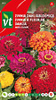 ARBORIX - Zinnia à Grande Fleur De Dahlia - Ca. 1 gr (Livraison Gratuite) - vignette