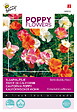 ARBORIX - Buzzy Poppy Flowers Eschscholtzia Californica Semences - Ca. 1 gr (Livraison Gratuite) - vignette