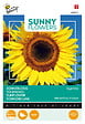 ARBORIX - Buzzy Sunny Flowers Tournesol Géant Giganteus Semences - Ca. 5 gr (Livraison Gratuite) - vignette