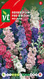 ARBORIX - Pied D'Alouette Annuel Sublime Mix - Ca. 0,75 gr (Livraison Gratuite) - vignette