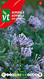 ARBORIX - Aspérule Blue Surprise - Ca. 0,5 gr (Livraison Gratuite) - vignette