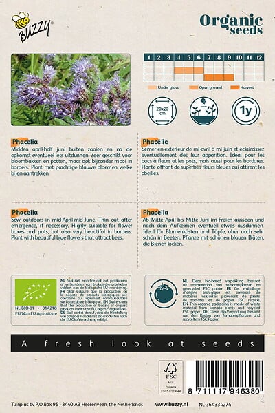 ARBORIX - Buzzy Organic Phacelia - Bio Semences - Ca. 0,5 gr (Livraison Gratuite) - large