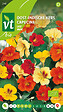 ARBORIX - Bio Capucine Naine - Ca. 3 gr (Livraison Gratuite) - vignette