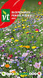 ARBORIX - Espace Fleuri Enfys - Ca. 2.5 gr (Livraison Gratuite) - vignette
