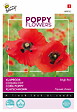 ARBORIX - Buzzy Poppy Flowers Coquelicot Simple rouge Semences - Ca. 1 gr (Livraison Gratuite) - vignette
