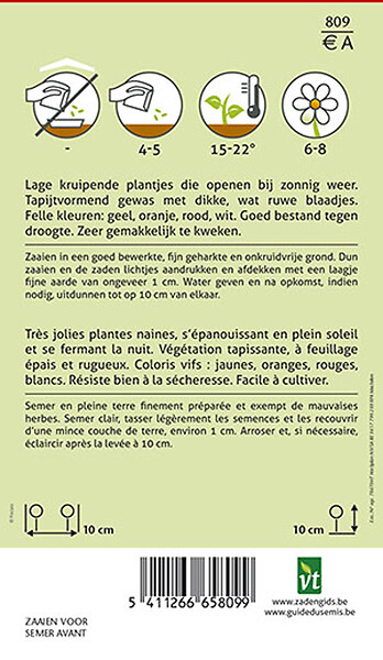 ARBORIX - Ficoïde Varie - Ca. 1 gr (Livraison Gratuite) - large