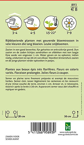 ARBORIX - Giroflée D'Été Varie - Ca. 0,75 gr (Livraison Gratuite) - large