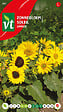 ARBORIX - Tournesol Suntastic - Ca. 20 graines (Livraison Gratuite) - vignette
