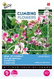 ARBORIX - Buzzy Climbing Flowers Lathyrus Unwin's Striped Semences - Ca. 4 gr (Livraison Gratuite) - vignette