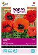 ARBORIX - Buzzy Poppy Flowers Pavot d'Orient varié Semences - Ca. 0,15 gr (Livraison Gratuite) - vignette