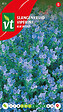 ARBORIX - Viperine Blue Bedder - Ca. 1 gr (Livraison Gratuite) - vignette