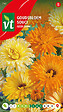 ARBORIX - Souci Calendula Fiesta Gitana - Ca. 1,25 gr (Livraison Gratuite) - vignette