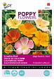 ARBORIX - Buzzy Poppy Flowers Pavot de Californie Semences - Ca. 1 gr (Livraison Gratuite) - vignette