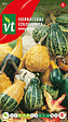 ARBORIX - Coloquinte Indian Summer Mix - Ca. 2 gr (Livraison Gratuite) - vignette