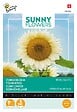 ARBORIX - Buzzy Sunny Flowers Tournesol White Sun F1 Semences - Ca. 6 graines (Livraison Gratuite) - vignette