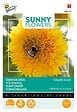 ARBORIX - Buzzy Sunny Flowers Tournesol nain Sungold double Semences - Ca. 2.5 gr (Livraison Gratuite) - vignette