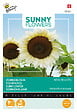 ARBORIX - Buzzy Sunny Flowers Tournesol White Moon F1 Semences - Ca. 6 graines (Livraison Gratuite) - vignette
