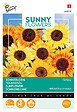 ARBORIX - Buzzy Sunny Flowers Tournesol Fantasy Semences - Ca. 1 gr (Livraison Gratuite) - vignette