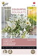 ARBORIX - Buzzy Colourful Bouquets Sweet White Semences - Ca. 5 gr (Livraison Gratuite) - vignette