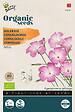 ARBORIX - Buzzy® Organic Agrostemma Coquelourde Milas - Bio Semences - Ca. 1 gr (Livraison Gratuite) - vignette