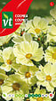 ARBORIX - Cosmea Xanthos - Ca. 1 gr (Livraison Gratuite) - vignette