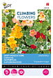 ARBORIX - Buzzy Climbing Flowers Tropaeolum Jewel of Africa Semences - Ca. 3 gr (Livraison Gratuite) - vignette