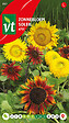 ARBORIX - Tournesol Aztec - Ca. 1,25 gr (Livraison Gratuite) - vignette