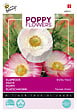 ARBORIX - Buzzy Poppy Flowers Coquelicot en Mélange Semences - Ca. 1 gr (Livraison Gratuite) - vignette