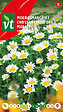 ARBORIX - Chrysanthème Des Marais Pure White - Ca. 0,5 gr (Livraison Gratuite) - vignette