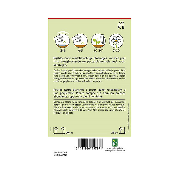 ARBORIX - Chrysanthème Des Marais Pure White - Ca. 0,5 gr (Livraison Gratuite) - large