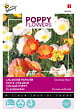 ARBORIX - Buzzy Poppy Flowers Pavot d'Islande Semences - Ca. 0,5 gr (Livraison Gratuite) - vignette