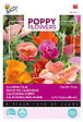 ARBORIX - Buzzy Poppy Flowers Pavot de Californie Thai Silk Semences - Ca. 0,1 gr (Livraison Gratuite) - vignette
