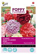 ARBORIX - Buzzy Poppy Flowers Paeoniflorum Dbl Var. Semences - Ca. 1 gr (Livraison Gratuite) - vignette