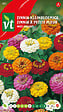 ARBORIX - Zinnia Nain Lilliput - Ca. 1 gr (Livraison Gratuite) - vignette