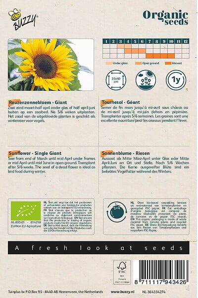 ARBORIX - Buzzy Organic Tournesol Géant- Bio Semences - Ca. 3 gr (Livraison Gratuite) - large