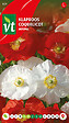 ARBORIX - Coquelicot National Mix - Ca. 0,5 gr (Livraison Gratuite) - vignette